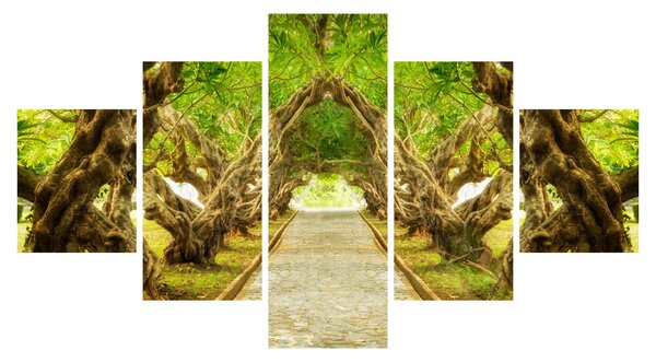 Obraz - Żywy tunel plumerii (125x70 cm)