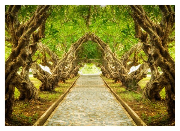 Obraz - Żywy tunel plumerii (70x50 cm)