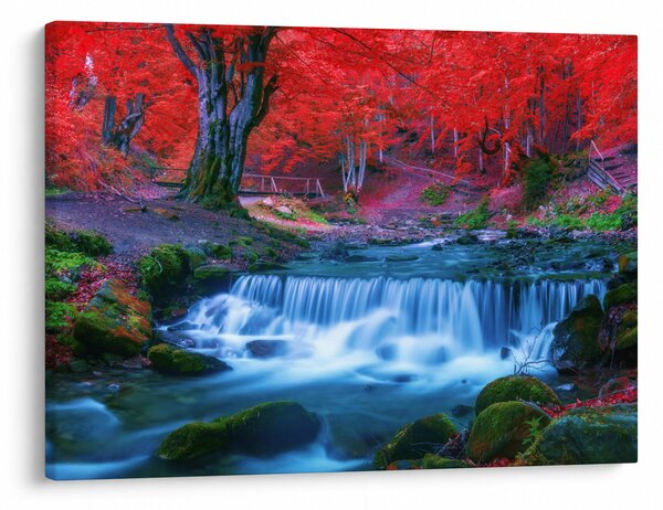 Obraz wodospadu w czerwonym lesie (70x50 cm)