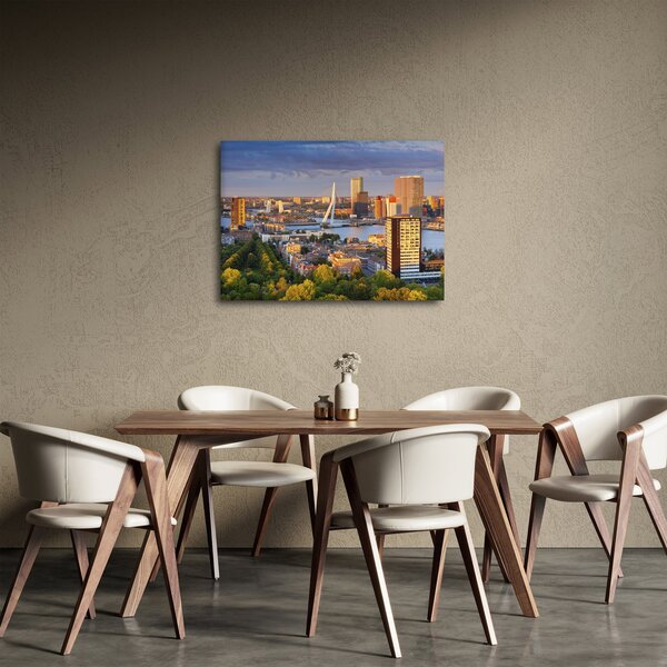 Obraz - Panorama Rotterdamu, Holandia (70x50 cm)