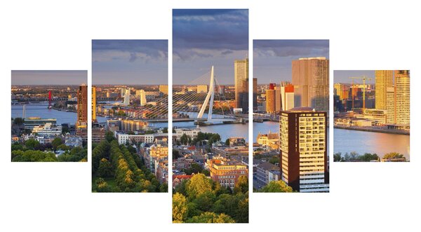 Obraz - Panorama Rotterdamu, Holandia (125x70 cm)