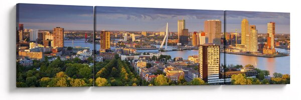 Obraz - Panorama Rotterdamu, Holandia (170x50 cm)