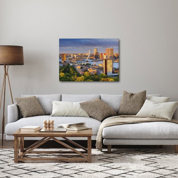 Obraz - Panorama Rotterdamu, Holandia (70x50 cm)