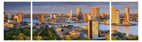 Obraz - Panorama Rotterdamu, Holandia (170x50 cm)