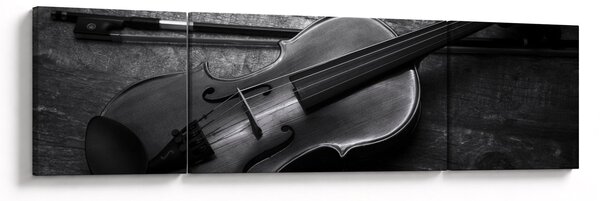 Obraz - Altówka (170x50 cm)