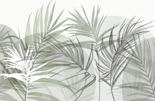 Fototapety Liście palmowe w neutralnych odcieniach zieleni i szarości, o abstrakcyjnych, Fototapety Natura, Fototapety Palmy, w10025v2 : Uwalls.pl