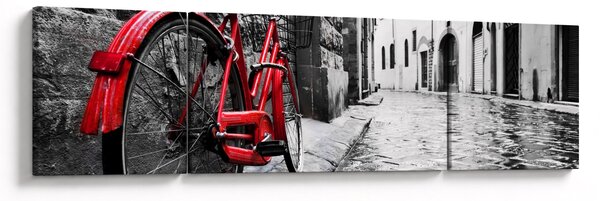 Obraz czerwonego roweru na brukowanej uliczce (170x50 cm)