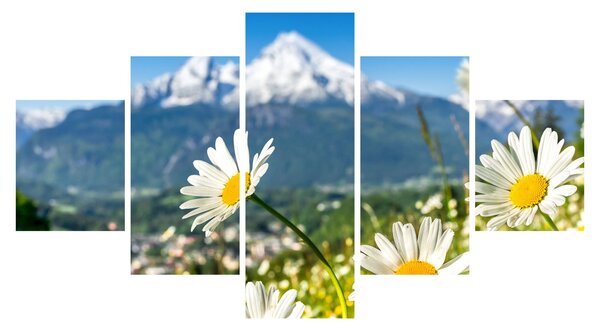 Obraz - Wiosna w Alpach (125x70 cm)