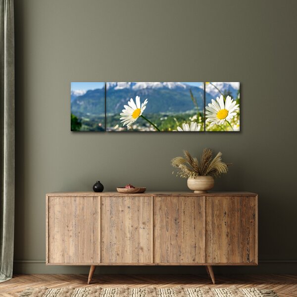 Obraz - Wiosna w Alpach (170x50 cm)