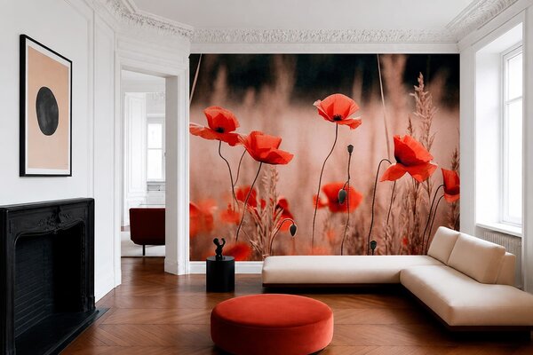 Fototapety Jaskrawoczerwone maki wśród wyschniętych traw, Fototapety Kwiaty, w05866 : Uwalls.pl