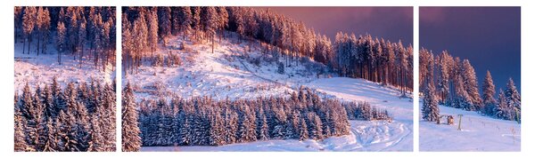 Obraz zimowego krajobrazu (170x50 cm)