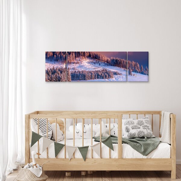 Obraz zimowego krajobrazu (170x50 cm)