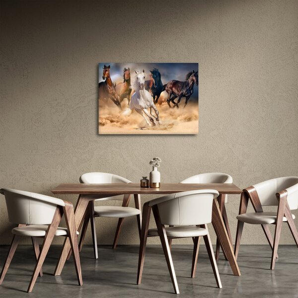 Obraz - Konie na pustyni (70x50 cm)