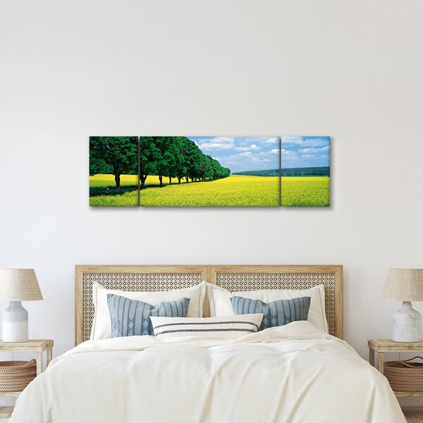 Obraz pola z aleją (170x50 cm)