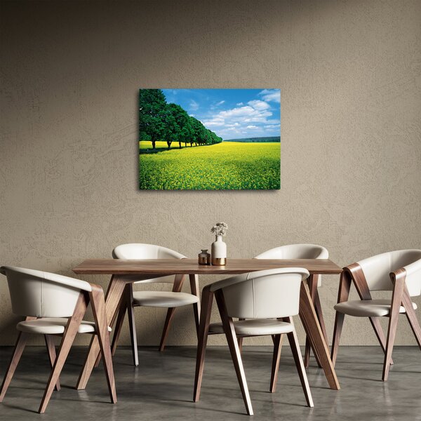 Obraz pola z aleją (70x50 cm)