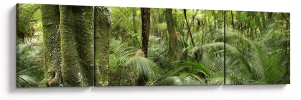 Obraz tropikalnego lasu deszczowego (170x50 cm)