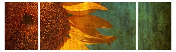 Obraz - Słonecznik (170x50 cm)