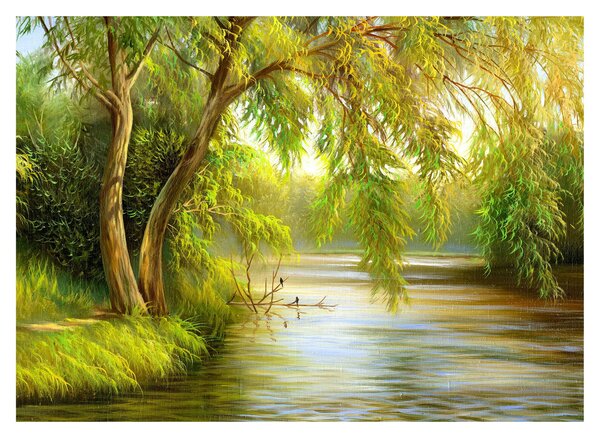 Obraz - Wierzba nad jeziorem, obraz olejny (70x50 cm)