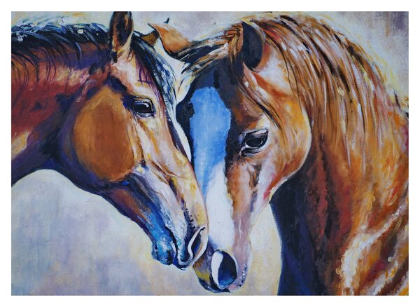 Obraz - Zakochane konie (70x50 cm)