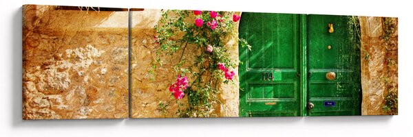 Obraz starych drzwi (170x50 cm)