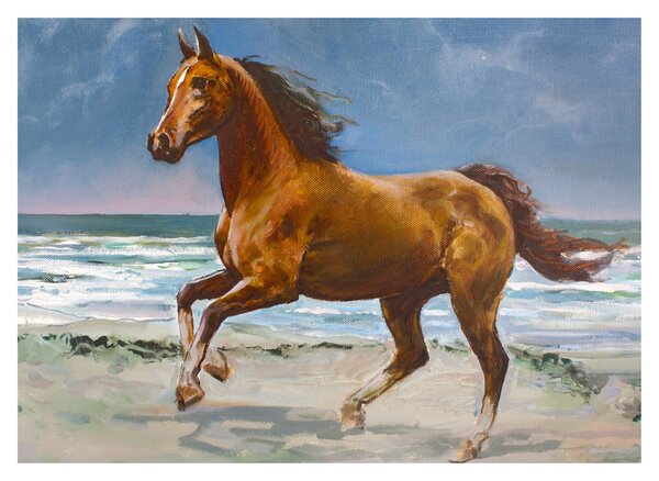 Obraz konia na plaży (70x50 cm)