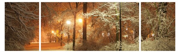 Obraz - Zaśnieżony park (170x50 cm)
