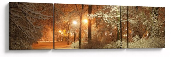 Obraz - Zaśnieżony park (170x50 cm)