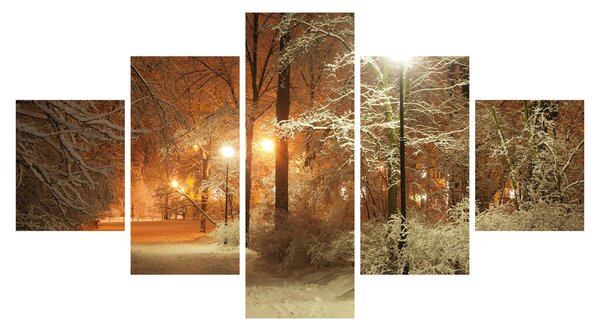 Obraz - Zaśnieżony park (125x70 cm)