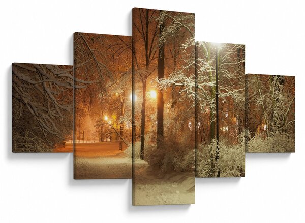 Obraz - Zaśnieżony park (125x70 cm)