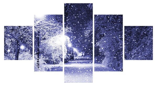 Obraz - Magiczna zimowa noc (125x70 cm)