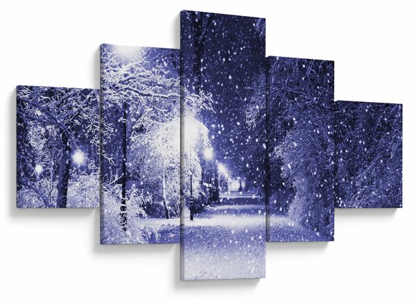 Obraz - Magiczna zimowa noc (125x70 cm)