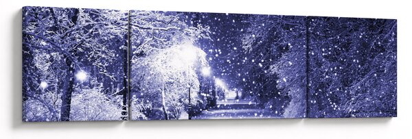 Obraz - Magiczna zimowa noc (170x50 cm)