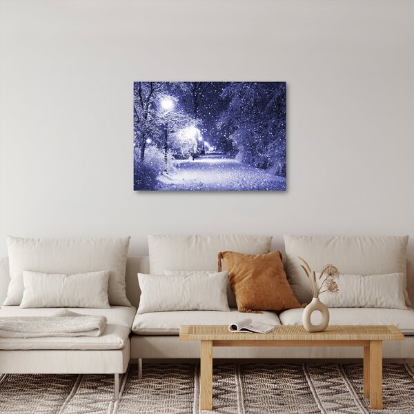 Obraz - Magiczna zimowa noc (70x50 cm)