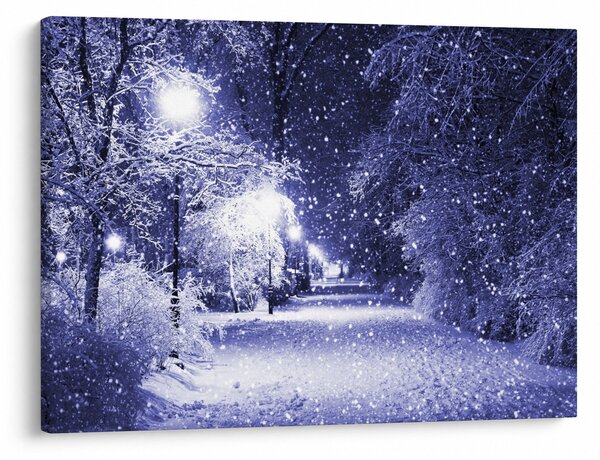 Obraz - Magiczna zimowa noc (70x50 cm)