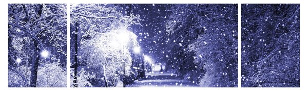 Obraz - Magiczna zimowa noc (170x50 cm)