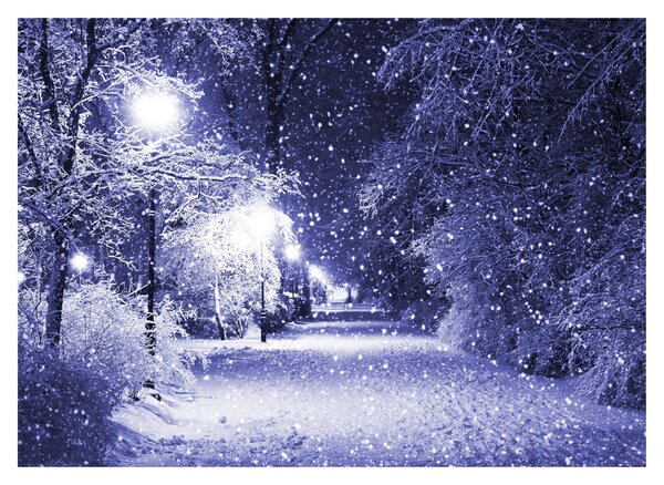 Obraz - Magiczna zimowa noc (70x50 cm)