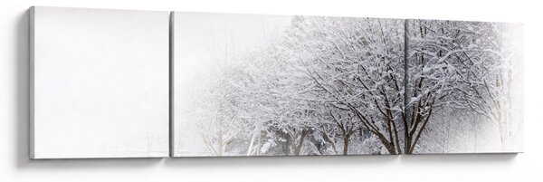 Obraz - Zimowa aleja (170x50 cm)