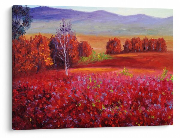 Obraz czerwonego krajobrazu (70x50 cm)
