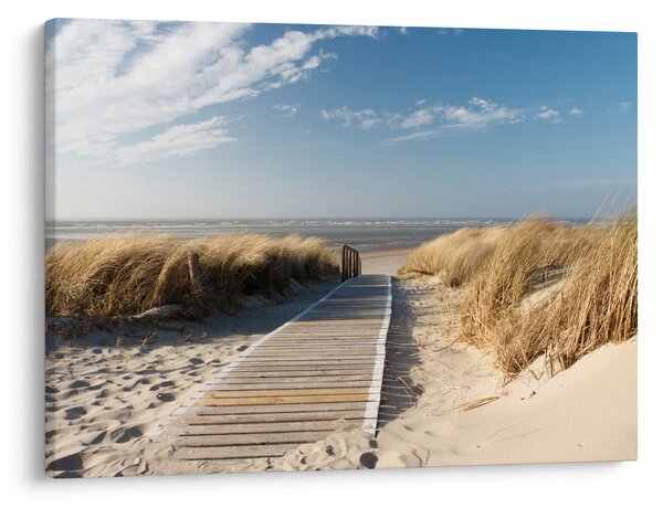 Obraz - Piaszczysta plaża na wyspie Langeoog, Niemcy (70x50 cm)