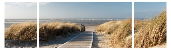 Obraz - Piaszczysta plaża na wyspie Langeoog, Niemcy (170x50 cm)