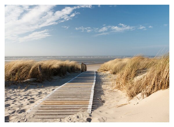 Obraz - Piaszczysta plaża na wyspie Langeoog, Niemcy (70x50 cm)