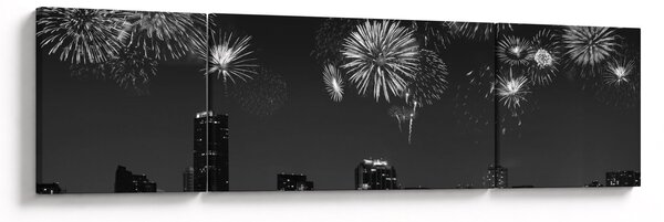 Obraz - Fajerwerki w Miami, czarno - białe (170x50 cm)
