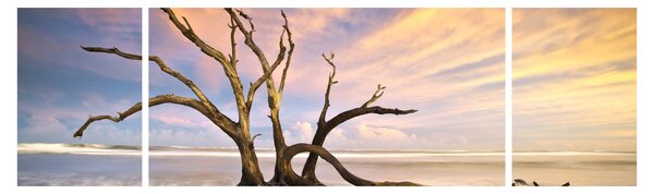Obraz drzewa w oceanie (170x50 cm)