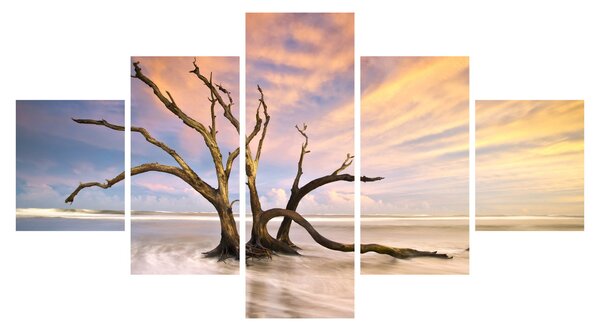 Obraz drzewa w oceanie (125x70 cm)