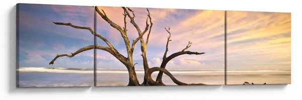 Obraz drzewa w oceanie (170x50 cm)