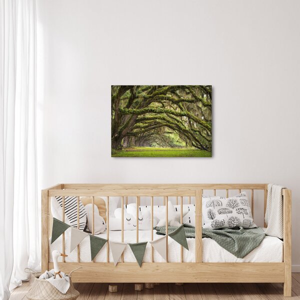 Obraz - Oaks Avenue, Charleston, Karolina Południowa, USA (70x50 cm)
