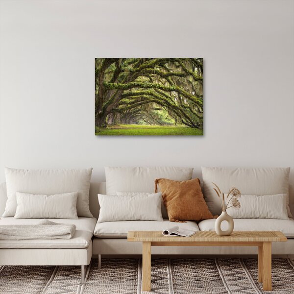 Obraz - Oaks Avenue, Charleston, Karolina Południowa, USA (70x50 cm)
