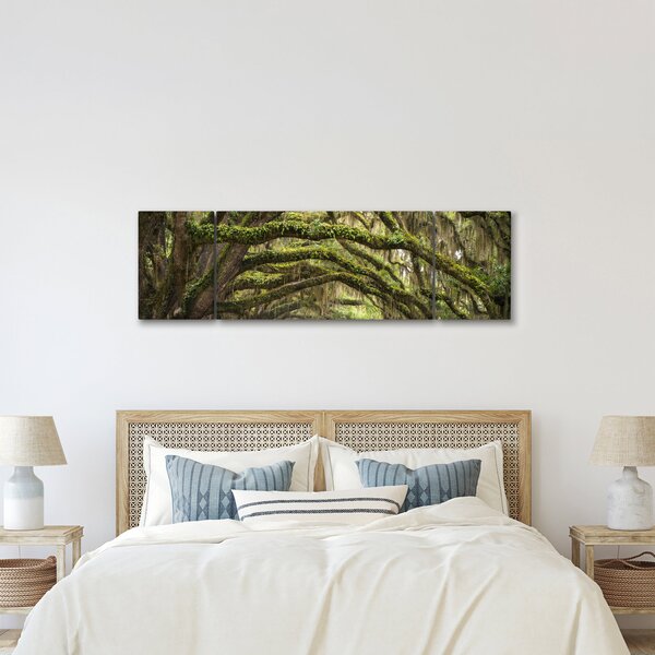 Obraz - Oaks Avenue, Charleston, Karolina Południowa, USA (170x50 cm)