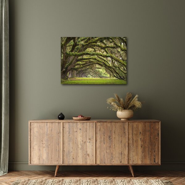 Obraz - Oaks Avenue, Charleston, Karolina Południowa, USA (70x50 cm)