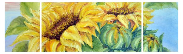 Obraz kwitnących słoneczników (170x50 cm)